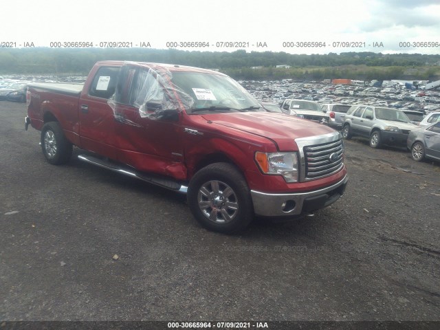 FORD F-150 2011 1ftfw1et3bfc99453