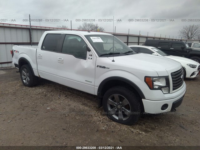 FORD F-150 2011 1ftfw1et3bfd13318