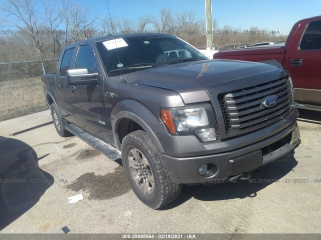 FORD F-150 2011 1ftfw1et3bke13698