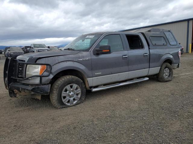 FORD F-150 2011 1ftfw1et3bke14446