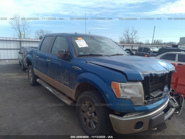 FORD F-150 2012 1ftfw1et3ckd48059