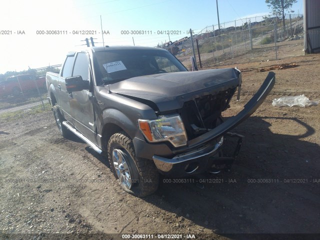 FORD F-150 2013 1ftfw1et3dfa34969