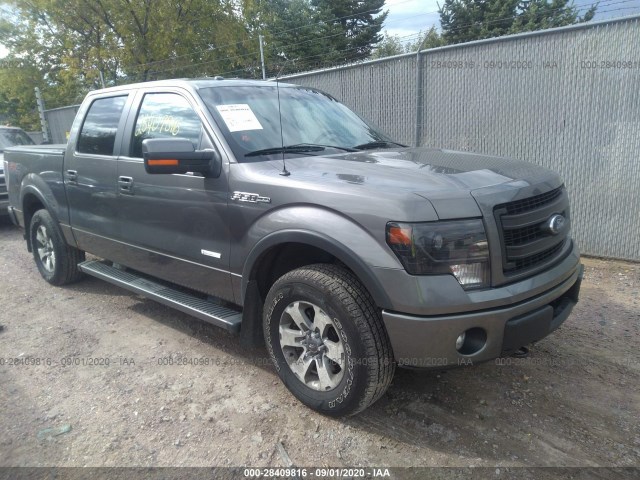 FORD F-150 2013 1ftfw1et3dfa58883