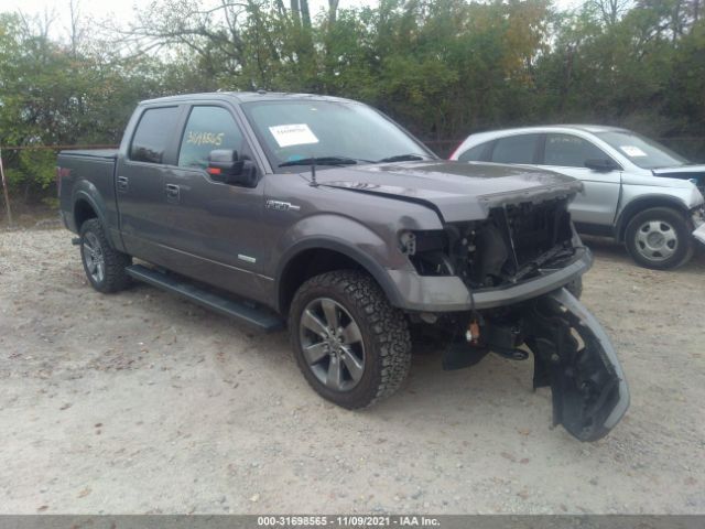 FORD F-150 2013 1ftfw1et3dfb35848