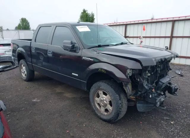 FORD F-150 2013 1ftfw1et3dfb45442