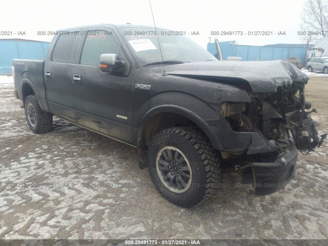 FORD F-150 2013 1ftfw1et3dfb47773