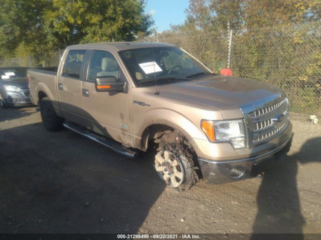 FORD F-150 2013 1ftfw1et3dfb73838