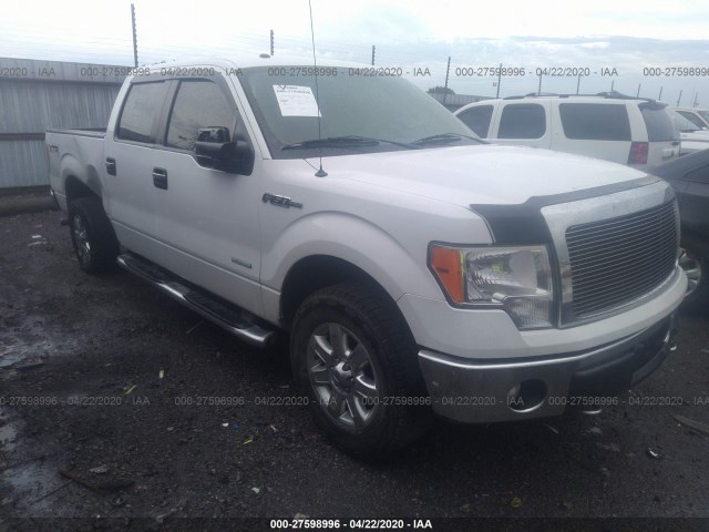 FORD F-150 2013 1ftfw1et3dfb77338