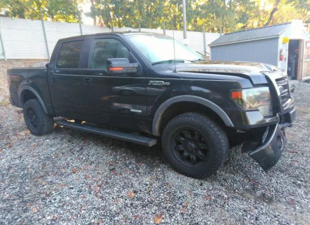 FORD F150 2013 1ftfw1et3dfb85181