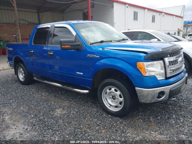 FORD F-150 2013 1ftfw1et3dfc04196