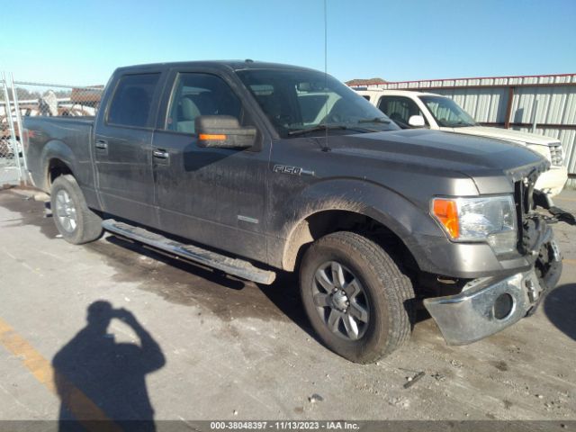 FORD F-150 2013 1ftfw1et3dfc82204