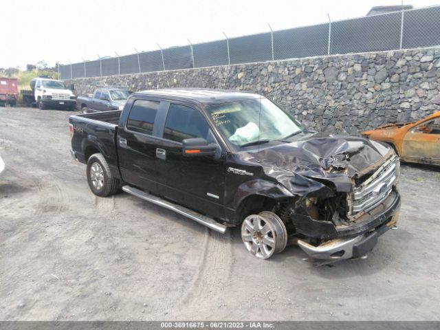 FORD F-150 2013 1ftfw1et3dfc95602