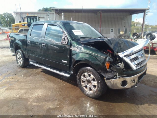 FORD F-150 2013 1ftfw1et3dfd09904