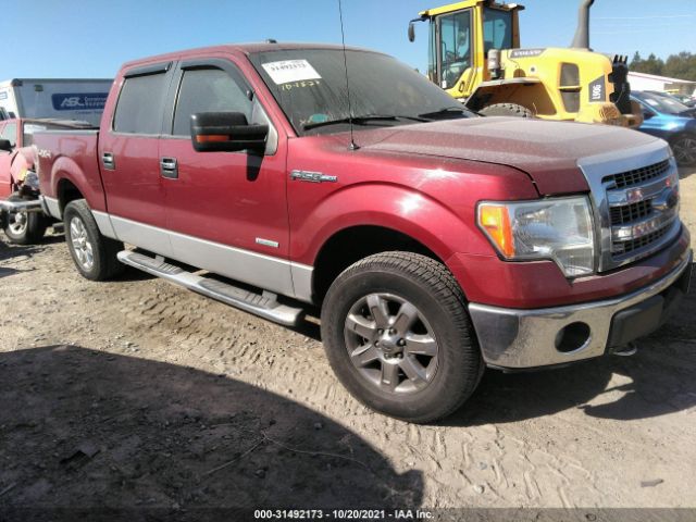 FORD F-150 2013 1ftfw1et3dfd44555