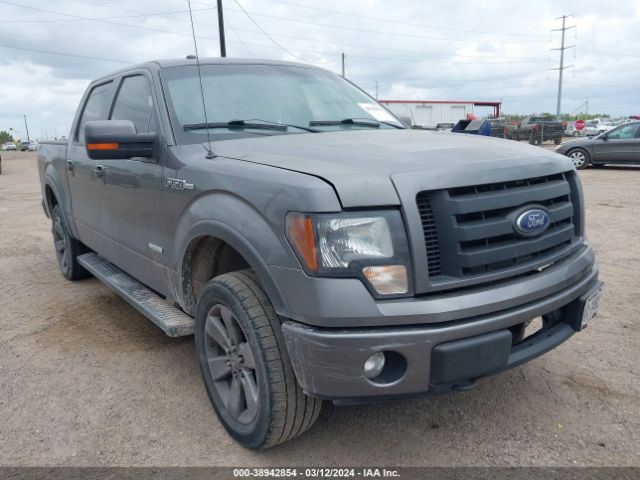 FORD F-150 2013 1ftfw1et3dkd06265