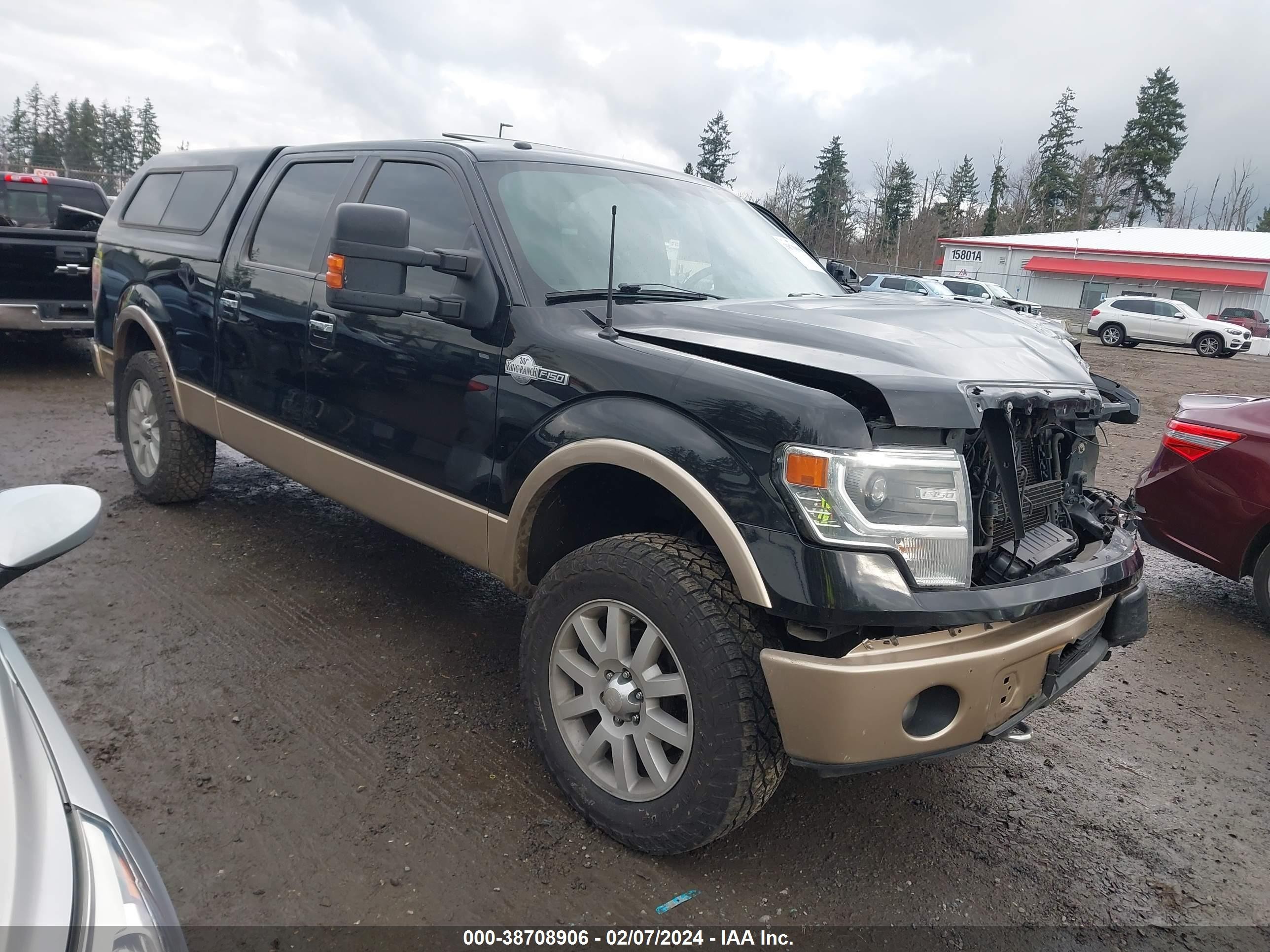 FORD F-150 2013 1ftfw1et3dkd50220