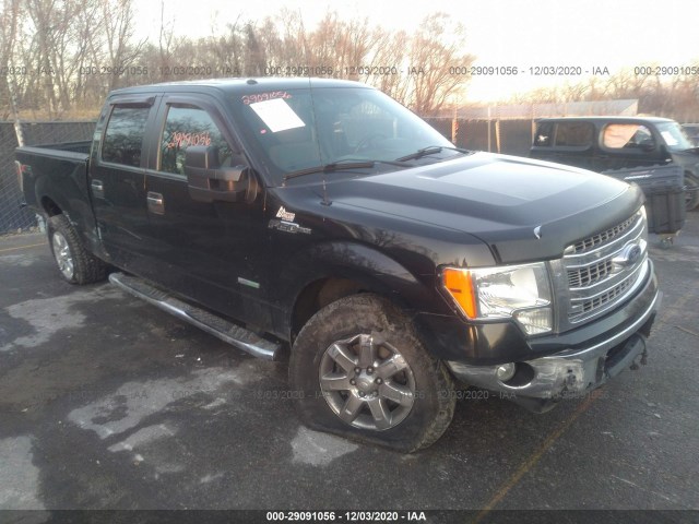 FORD F-150 2013 1ftfw1et3dkd62366