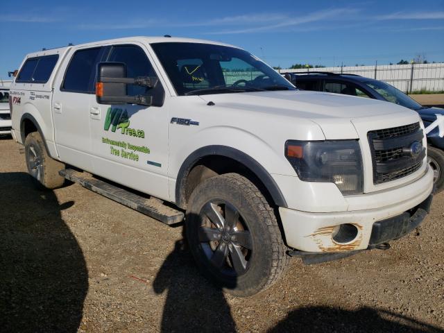 FORD F150 SUPER 2013 1ftfw1et3dkd75649