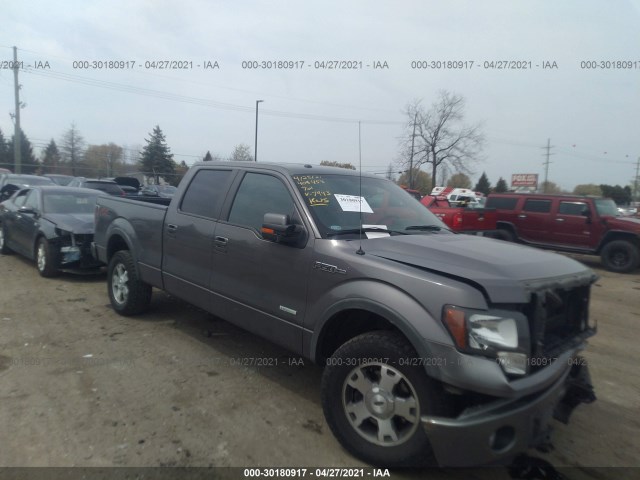 FORD F-150 2013 1ftfw1et3dke67943