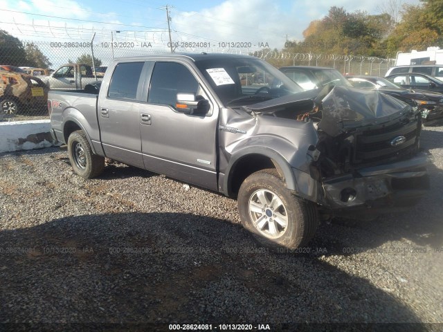 FORD F-150 2013 1ftfw1et3dke80353