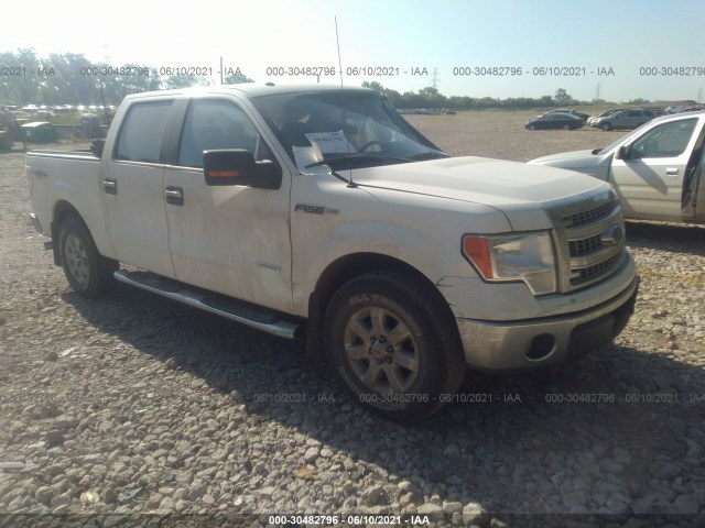 FORD F-150 2013 1ftfw1et3dkf04523