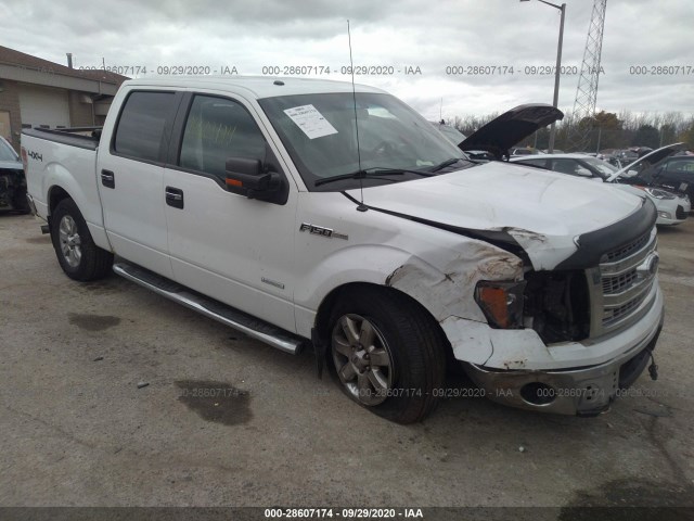 FORD F-150 2013 1ftfw1et3dkf79660