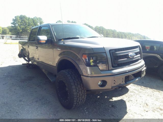 FORD F-150 2013 1ftfw1et3dkf91517