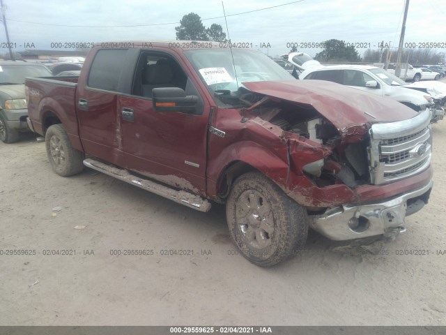 FORD F-150 2013 1ftfw1et3dkg40604