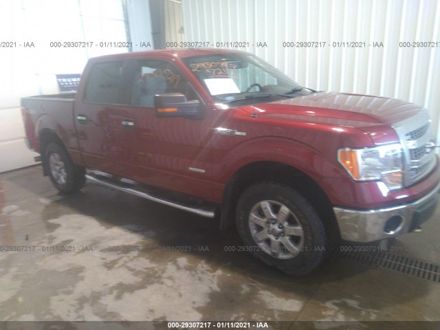 FORD F-150 2013 1ftfw1et3dkg50842