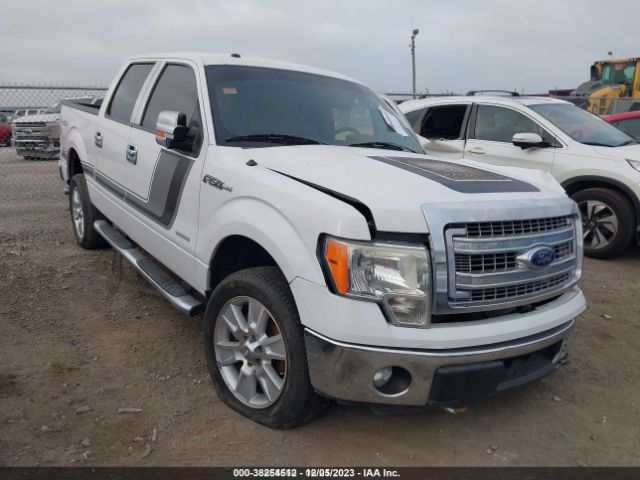 FORD F-150 2014 1ftfw1et3efa53975