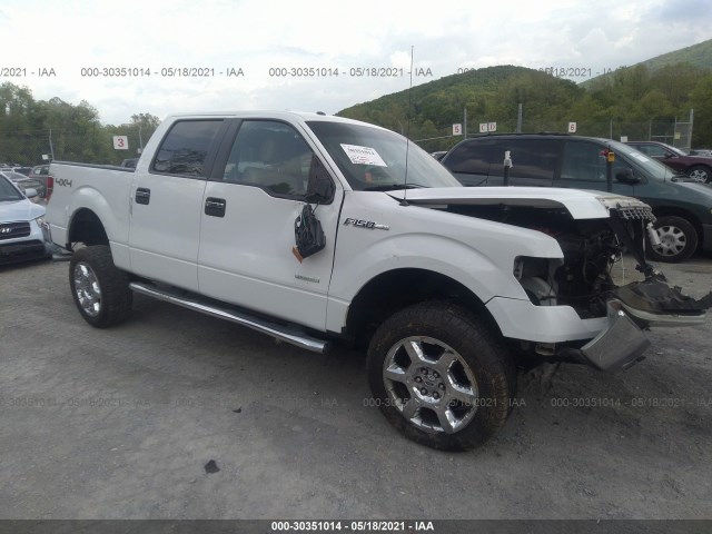 FORD F-150 2014 1ftfw1et3efa66452