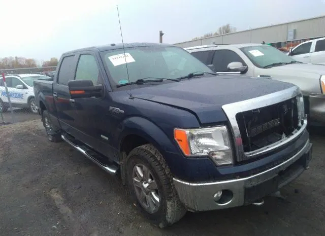 FORD F-150 2014 1ftfw1et3efa93585