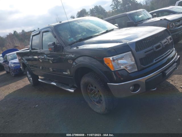 FORD F-150 2014 1ftfw1et3efb21143