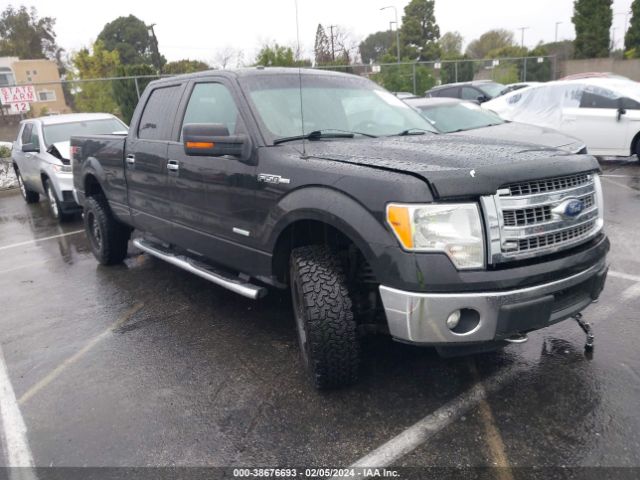 FORD F-150 2014 1ftfw1et3efc44392