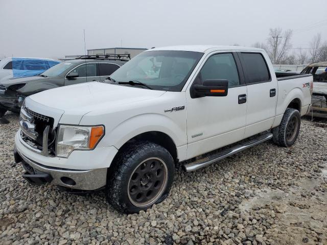 FORD F-150 2014 1ftfw1et3efc76047