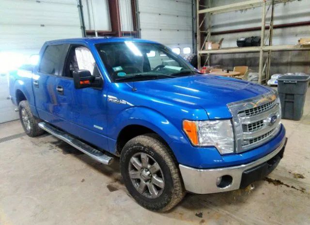 FORD F-150 2014 1ftfw1et3efc87811