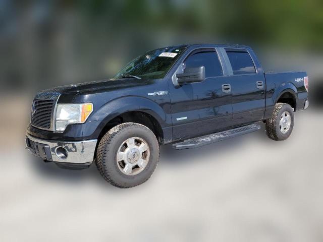 FORD F-150 2014 1ftfw1et3efd13663