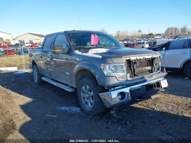 FORD F-150 2014 1ftfw1et3ekd02329