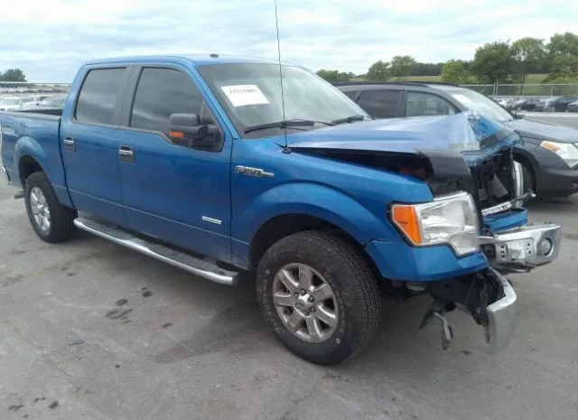 FORD F-150 2014 1ftfw1et3eke22681