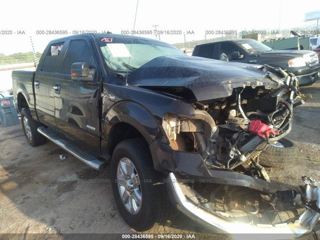 FORD F-150 2014 1ftfw1et3eke87644