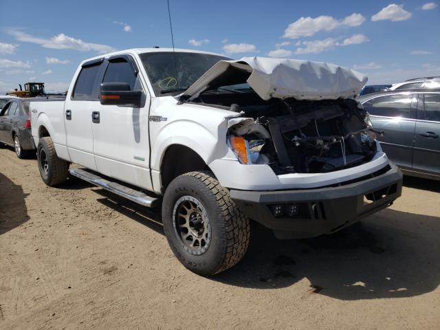 FORD F150 SUPER 2011 1ftfw1et4bfb67964