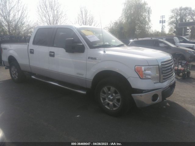 FORD F-150 2011 1ftfw1et4bkd91856