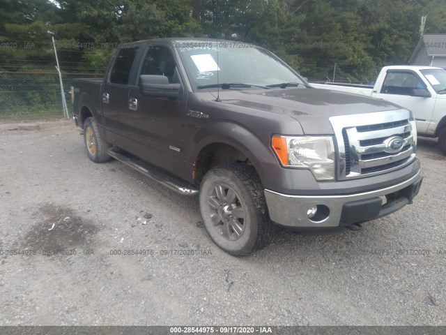 FORD F-150 2012 1ftfw1et4cfa24739