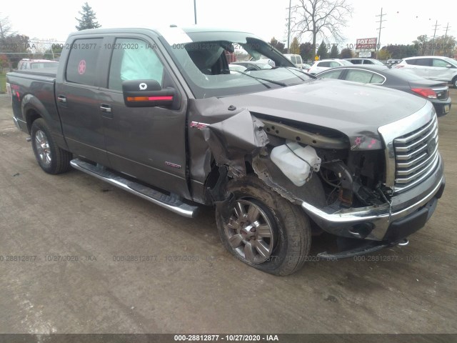 FORD F-150 2012 1ftfw1et4cfb45559