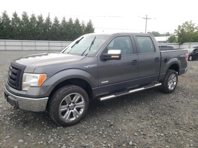 FORD F-150 2012 1ftfw1et4cfc46228