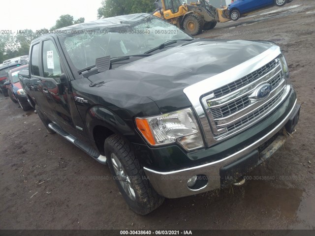 FORD F-150 2013 1ftfw1et4dfa66099