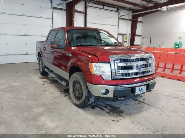 FORD F-150 2013 1ftfw1et4dfa88975