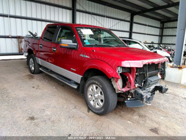 FORD F-150 2013 1ftfw1et4dfa97482