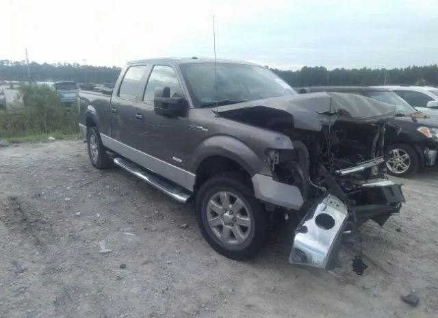 FORD F-150 2013 1ftfw1et4dfa97904