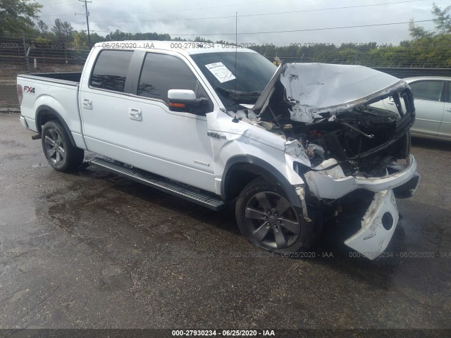 FORD F-150 2013 1ftfw1et4dfb41481